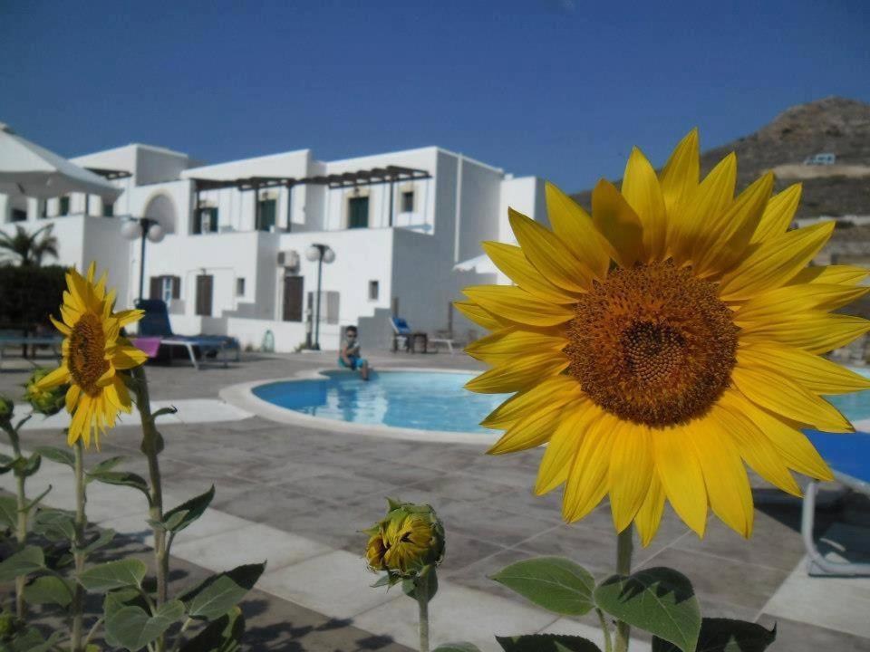 Delight Apartments Suites Stelida  Extérieur photo